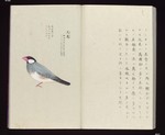 20090430055.jpg