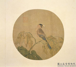 2009050306.jpg