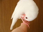 2010020301.jpg
