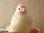 2010020710.jpg