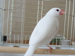 2010022102.jpg