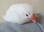 2010040101.jpg