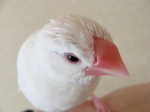 2010040102.jpg