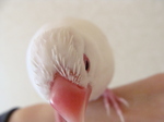 2010040103.jpg