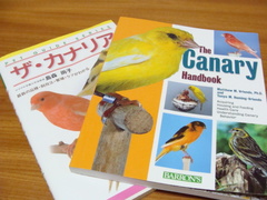 2011071501.jpg