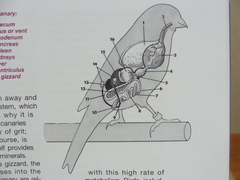 2011071504.jpg