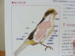 2011071505.jpg
