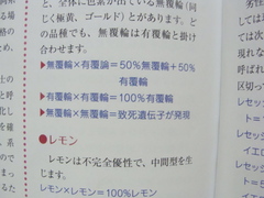 2011071508.jpg