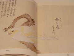 2011112502.jpg