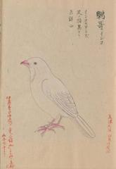2013010502.jpg