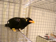2013040903.jpg