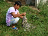 006004.jpg