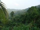 007003.jpg