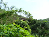 007004.jpg