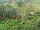 008002.jpg
