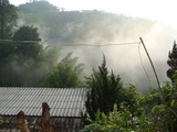 008003.jpg