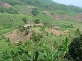 008005.jpg