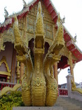 009003.jpg