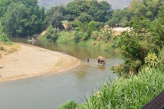 205.JPG